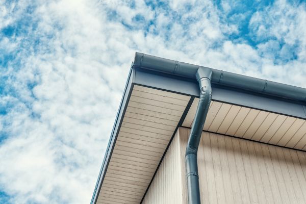 Gutter Fascia Repair in Longmont