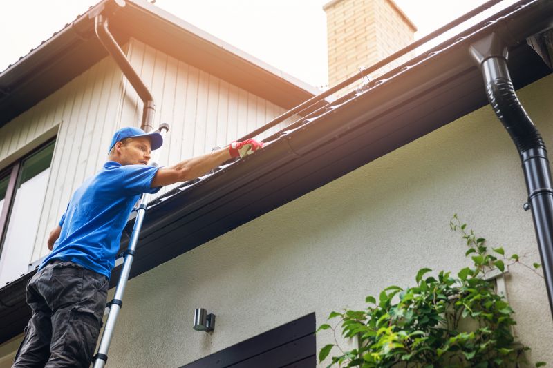 Longmont Gutter Service Options